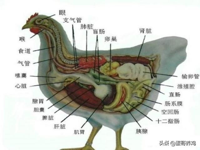 大数据医疗应用案例_医疗健康大数据峰会_医疗健康大数据