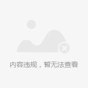 小灵通数据业务_wcdma 数据业务信令_移动集团数据专线业务卖点