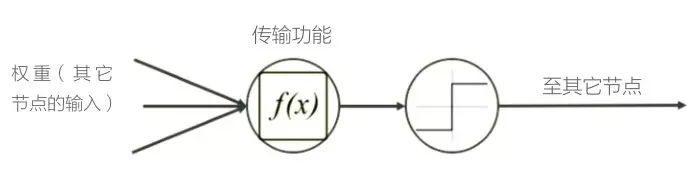 神经网络节点