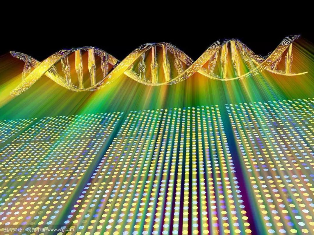 北方学院基因生物信息学分析考核_基因芯片数据分析_高血压基因检测芯片