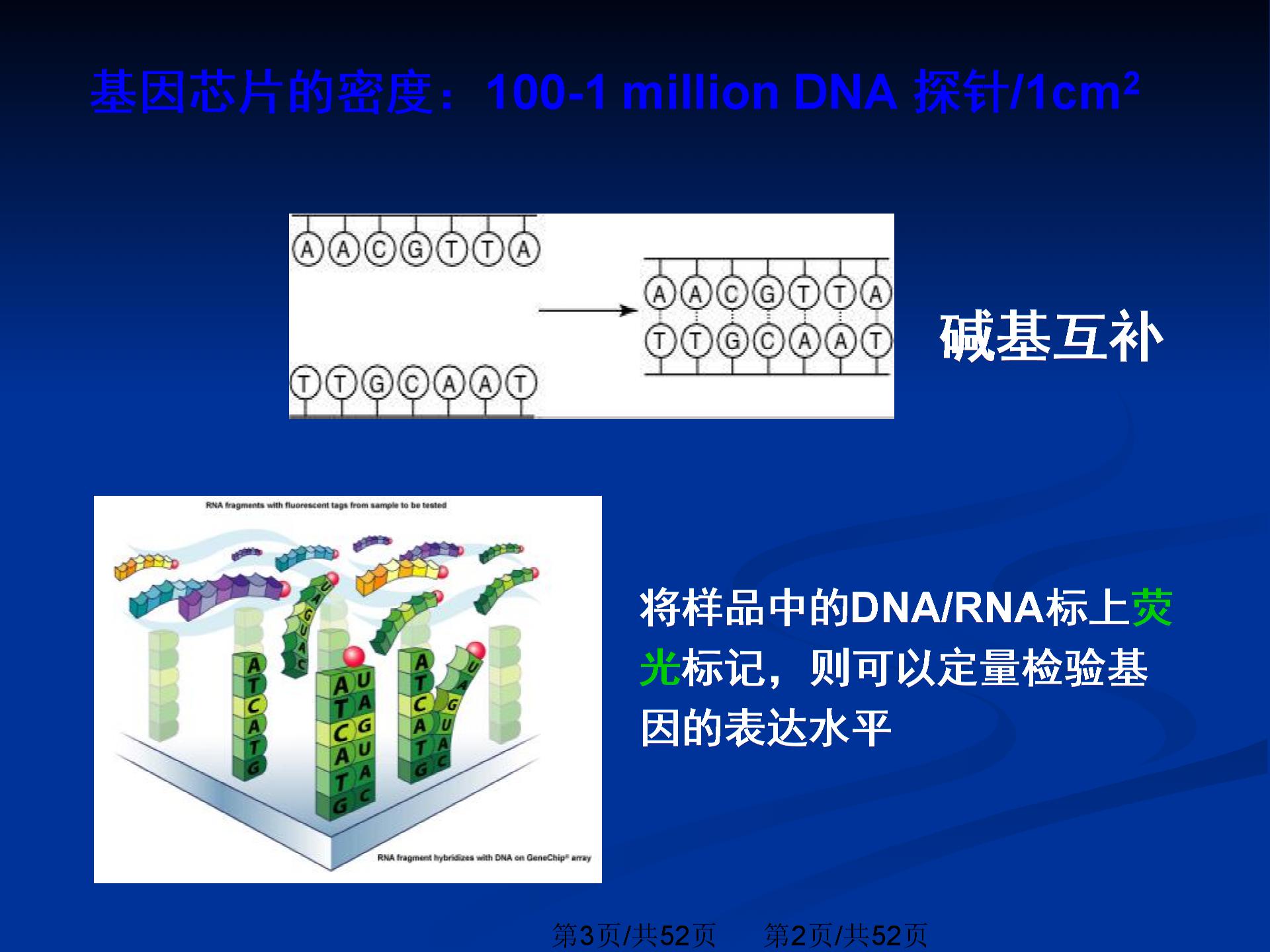 基因芯片数据分析图片2