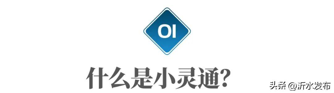 移动之家数据业务发烧友俱乐部_小灵通数据业务_数据流程图 业务流程图