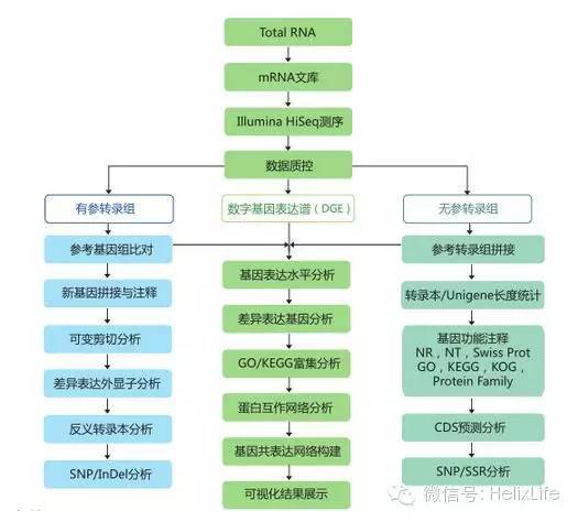 高通量测序数据分析_高通量测序数据分析软件_高通量测序数据分析流程